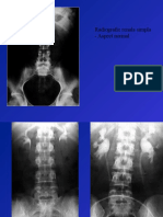 Renal Descriere