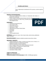 Perfil Puesto Desarrollador Oracle PDF