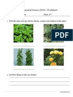 Environmental Science (EVS) - Worksheet: Subject: Plants Class: 2