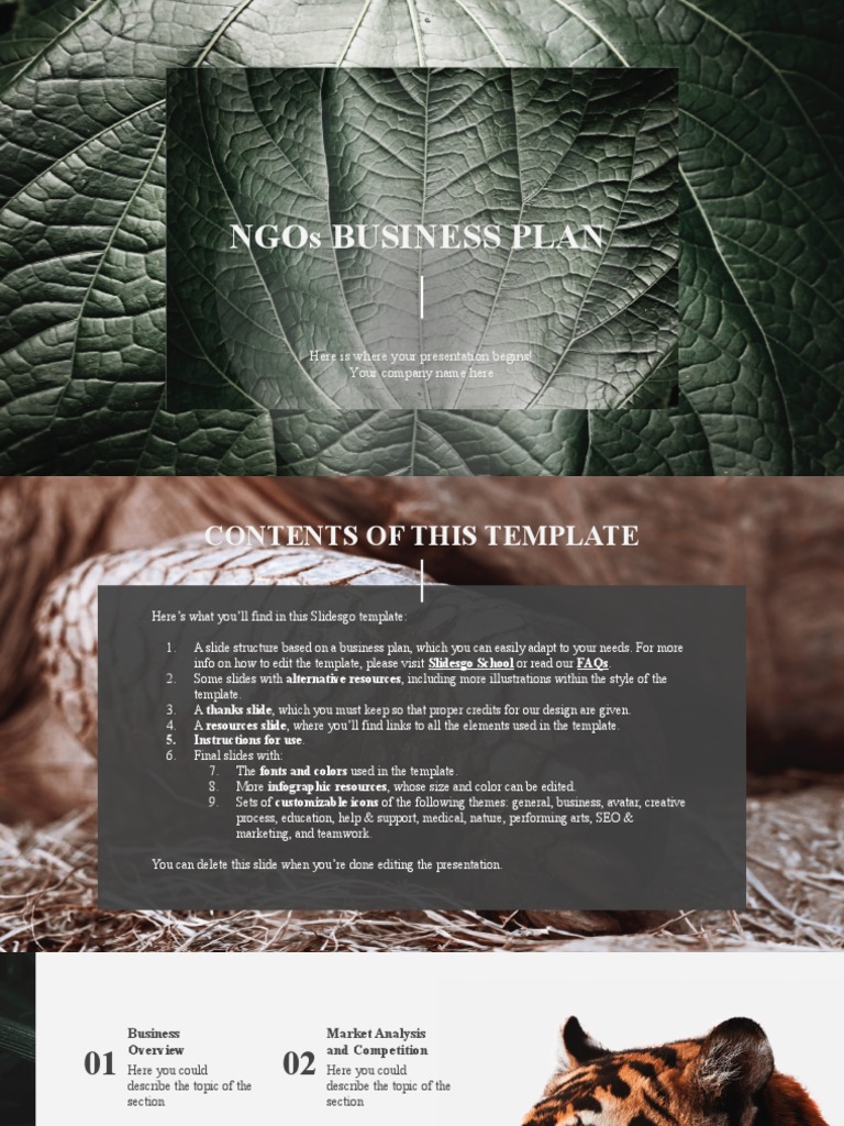 NGOs Business Plan by Slidesgo | PDF | Planets | Mercury (Planet)