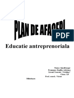 Plan de Afaceri - Gradinita Privata