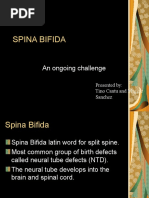 Download spina bifida by Elfatih Yousif SN46458615 doc pdf
