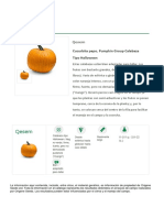 Calabaza PDF