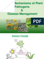 Survival Mechanisms of Plant Pathogens & Disease Management