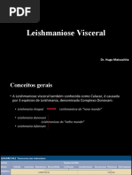 Leishmaniose Visceral
