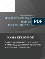 HASIL IDENTIFIKASI BAKTERI PSEUDOMONAS SP.pptx