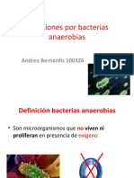 infeccionesporanaerobios-130208032316-phpapp02