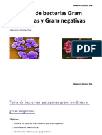 oktabladebacteriasgrampositivasynegativasreviarparacursovirtual-141028073741-conversion-gate01.pdf