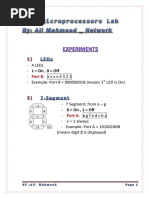 Ali Mahmood - Micro - Lab