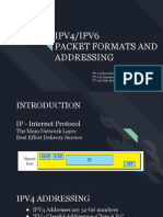 IPV4/IPV6 Packet Formats and Addressing: CT-017 Sara Batool CT-028 Anjleena Latif CT-036 Asfa Arshad
