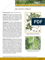 Palo Santo.pdf