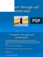 cell membrane transport.ppt