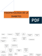 fisiopatología de la diabetes