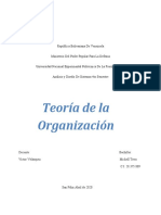 Teoria de la organizacion Michell.docx