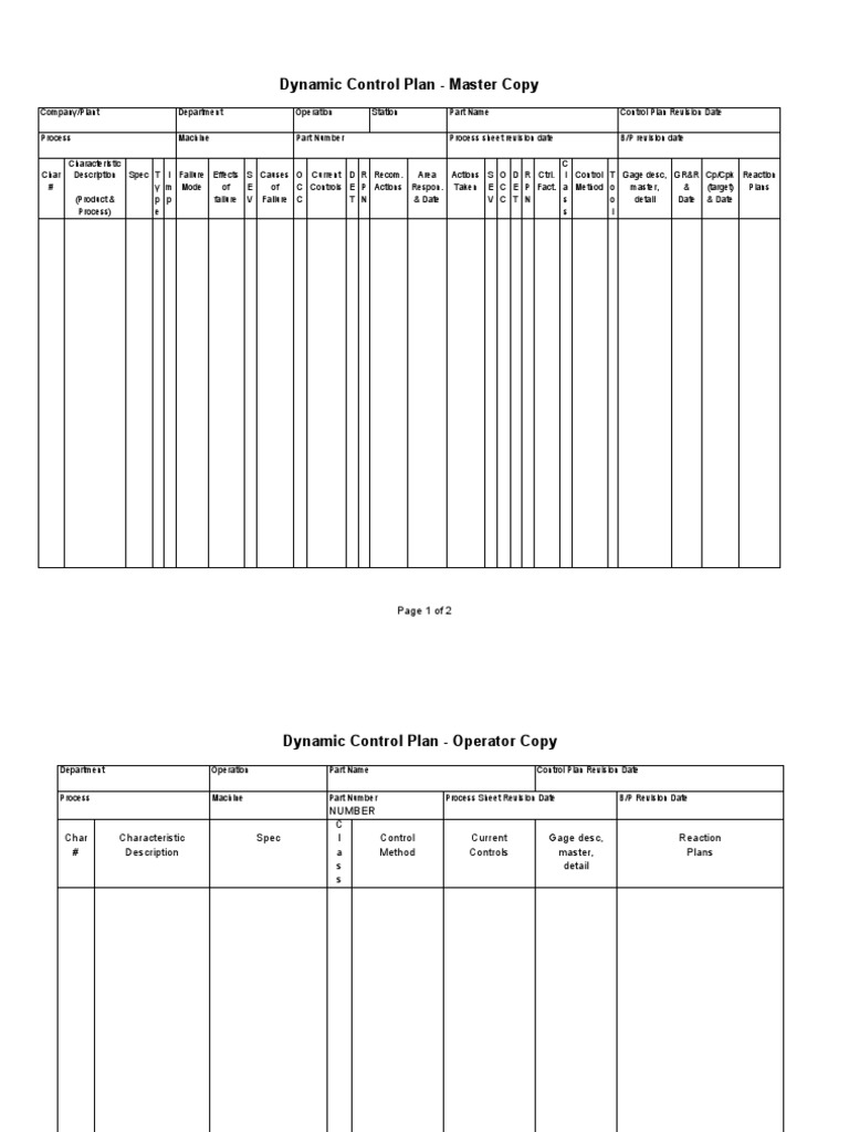Dynamic Control Plans | PDF