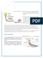 Colada Continua PDF