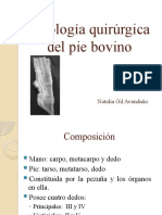 Patología Quirúrgica Del Pie Bovino