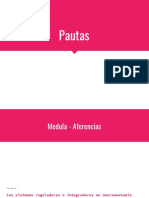 Pautas