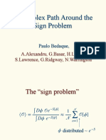 A Complex Path Around The Sign Problem: A.Alexandru, G.Basar, H.Lamm, S.Lawrence, G.Ridgway, N.Warrington