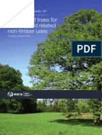 Valuation of Trees For Amenity and Related Non-Timber Uses