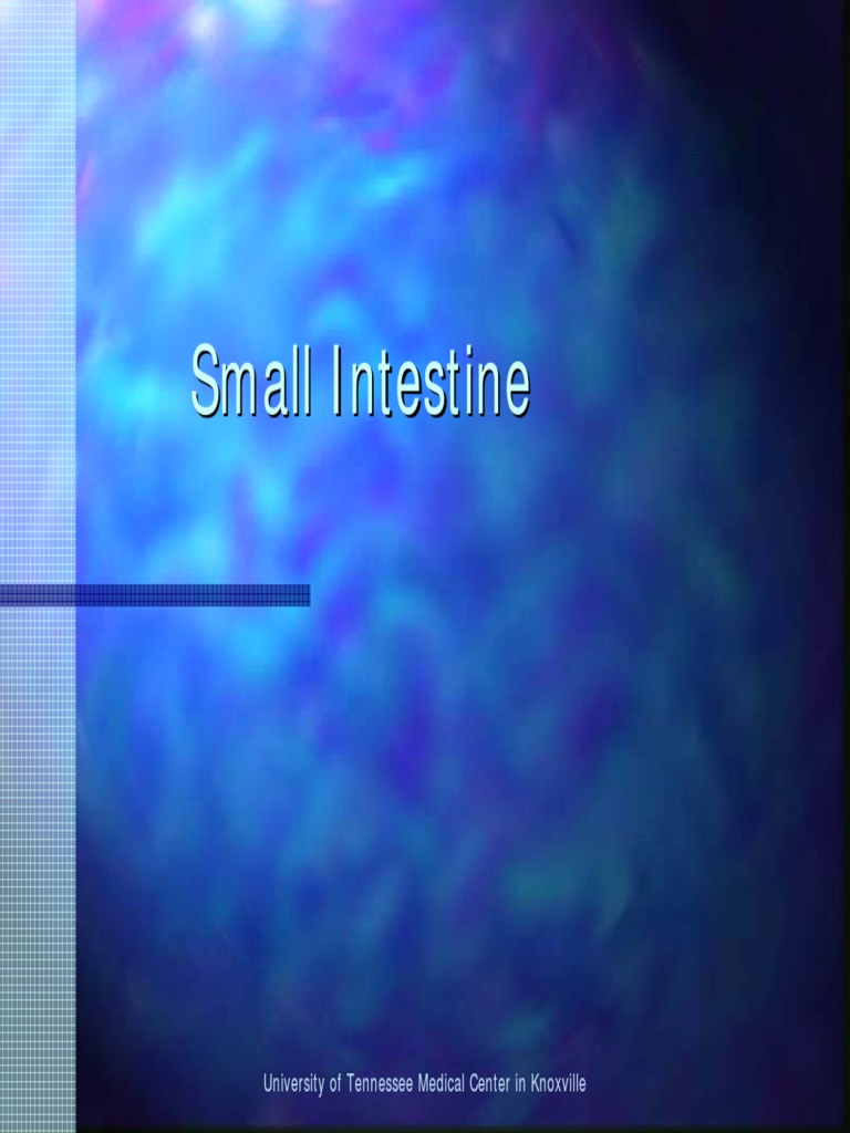 SmallIntestine PDF | PDF | Crohn's Disease | Digestion