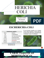 Escherichia Coli 