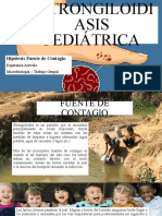 Estrongiloidiasis pediátrica - Hipotesis Fuente de Contagio