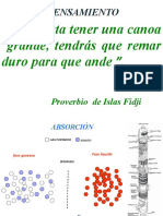 DIAPOSITIVA ABSORCION DE UN SOLO COMPONENTE SEMANA 2.pptx