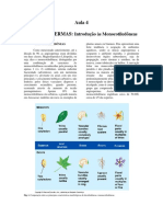 Aula 4 Euangiospermas:: Introdução Às Monocotiledôneas