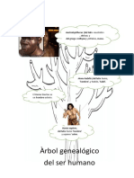 Arbol Genealógico Hominidos