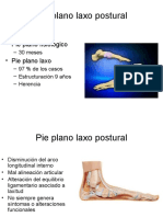 Pie Plano