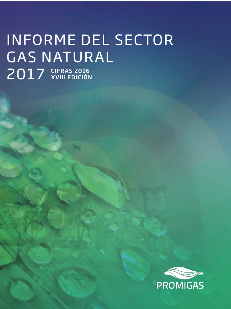 Informe Del Sector Gas Natural Colombia 2017 Este Si PDF | PDF ...