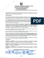 LINEAS GENERALES DE INVESTIGACION 2019 - Res 332-2019-UNAMAD-CU