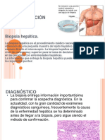 Biopsia Hepatica