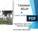 Kelapa Pembibitan Dikonversi