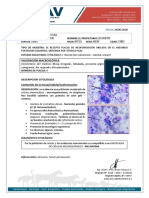 Citología de Neoformación Duke - Dr. Colina