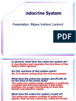 The Endocrine System: Presentation: Biljana Vukčević Lacković
