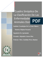 Cuadro Sinóptico de la Clasificación de las enfermedades de los animales domésticos.docx