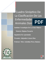 Cuadro Sinóptico de La Clasificación de Las Enfermedades de Los Animales Domésticos