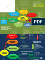 Mapa_conceptual_Gestion_de_las_Personas_2018