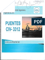 TEXTO PUENTES.pdf