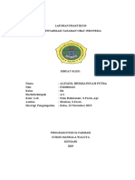 Fadil Format Laporan Inventarisasi Tanaman Obat Indonesia - 2 - 2