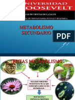 Clase VI Metabolismo Secundario