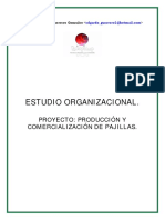 GUIA DE FORMULACION.pdf