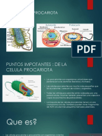 ciencias present.