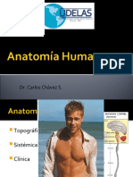 Introducción de Anatomía