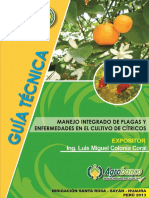 013-d-citricos.pdf