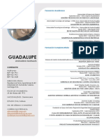 B-001 CV Ing. Guadalupe Leonardo Morales, MBA, MGA, MPRL PDF
