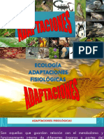 Adaptaciones Fisiologicas PDF