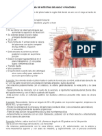 Anatomía 1 Corte